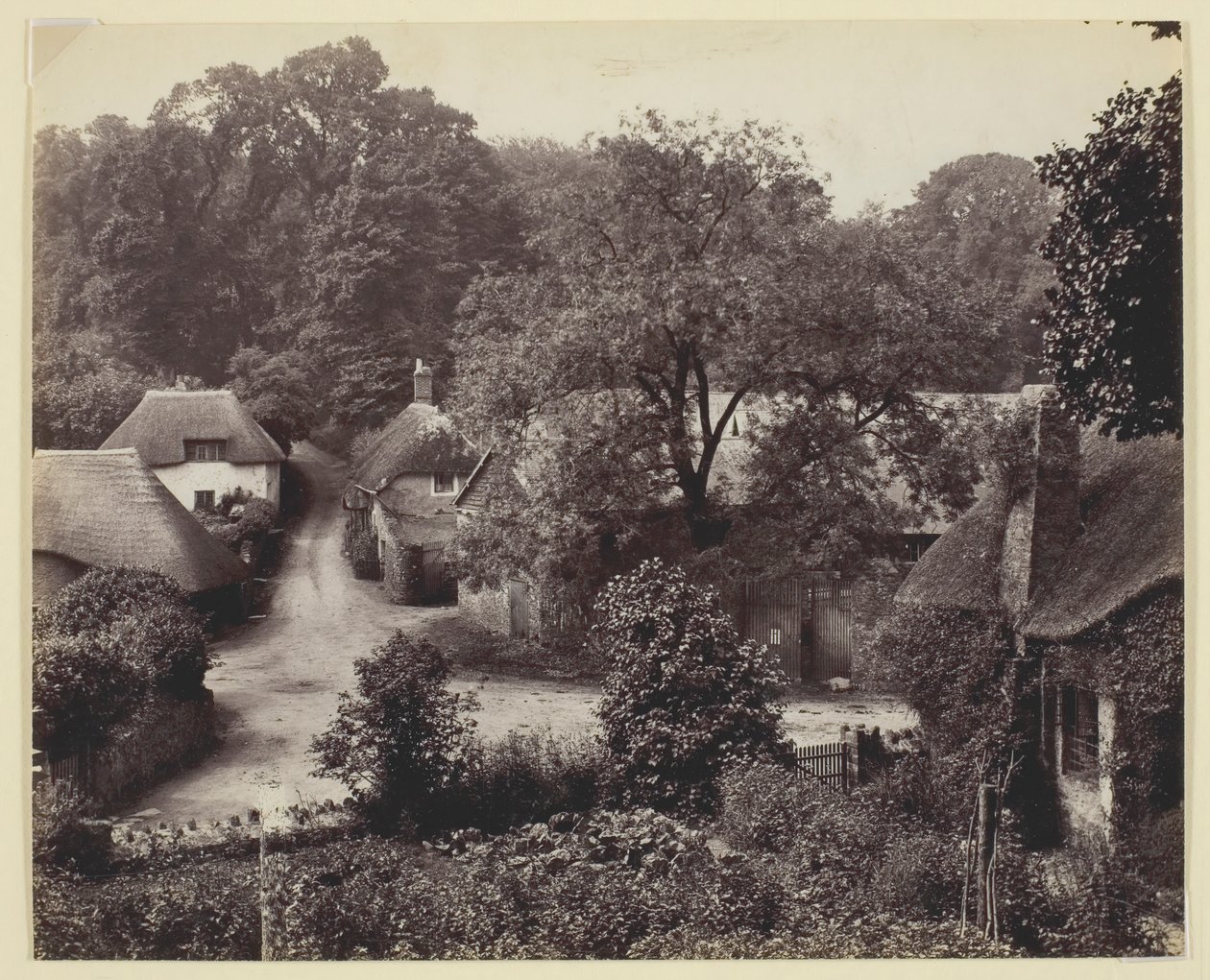 Senza titolo [cottage con tetto di paglia] da Francis Bedford