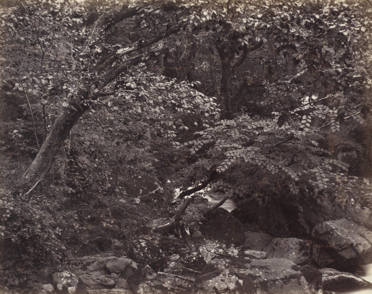 Glen a Lynmouth da Francis Bedford, Francis Frith