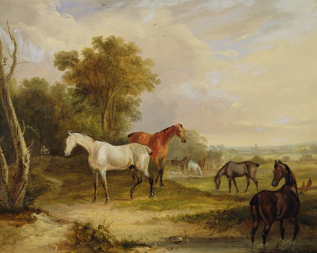 Cavalli al pascolo: uno stallone grigio al pascolo con giumente in un prato da Francis Calcraft Turner