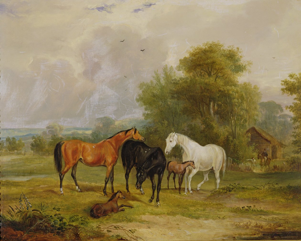 Cavalli al Pascolo: Giumente e Puledri in un Campo da Francis Calcraft Turner