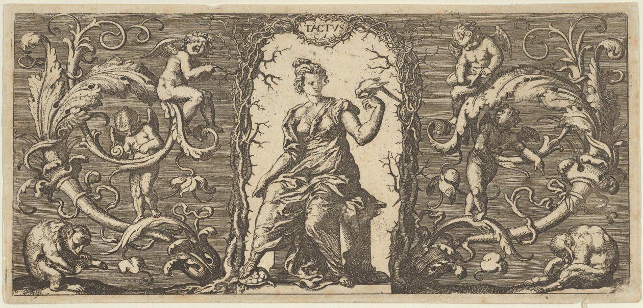 Tatto, da Quinque Sensuum Cinque Sensi da Francis Cleyn