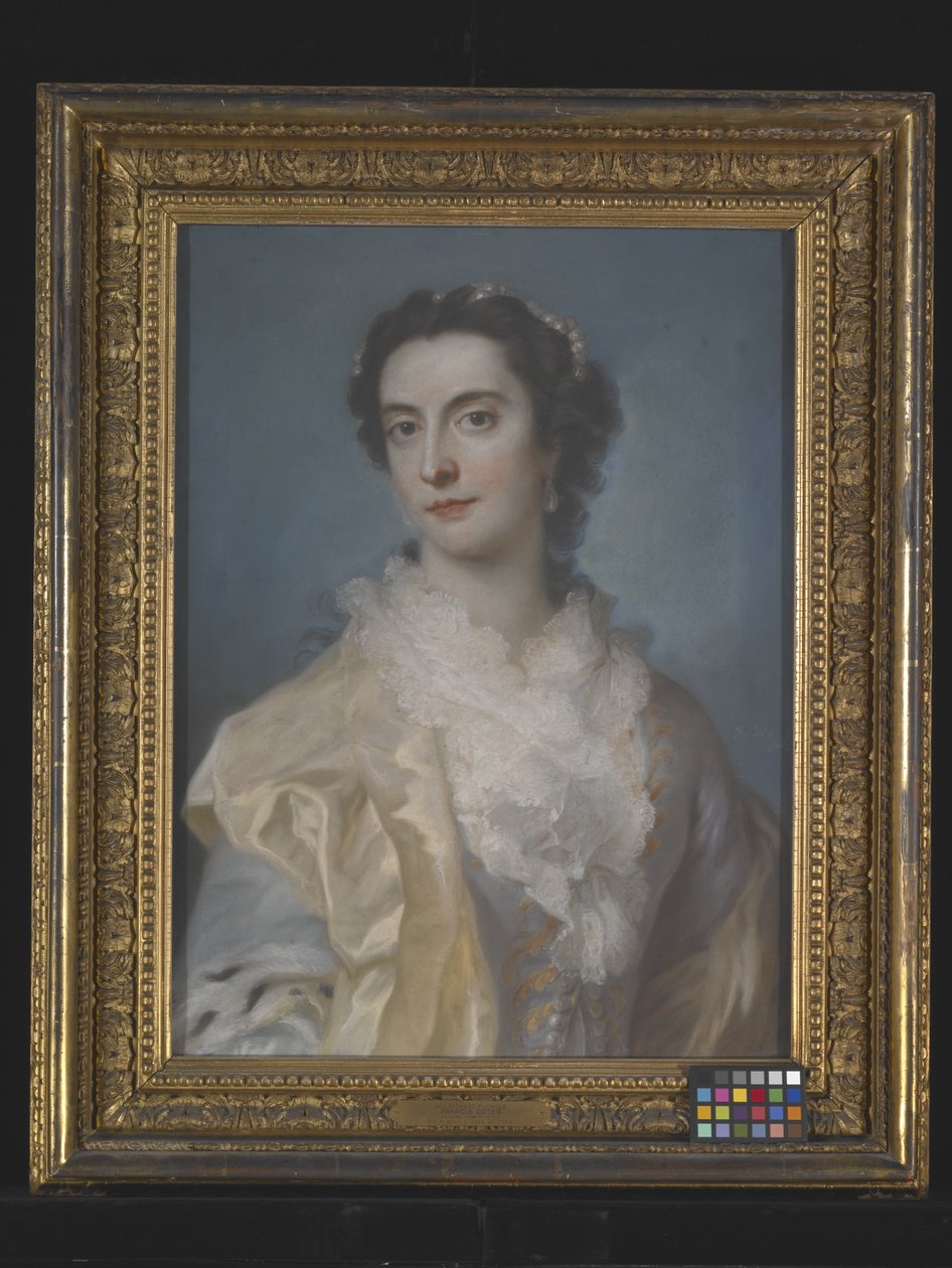 Ritratto di una signora da Francis Cotes
