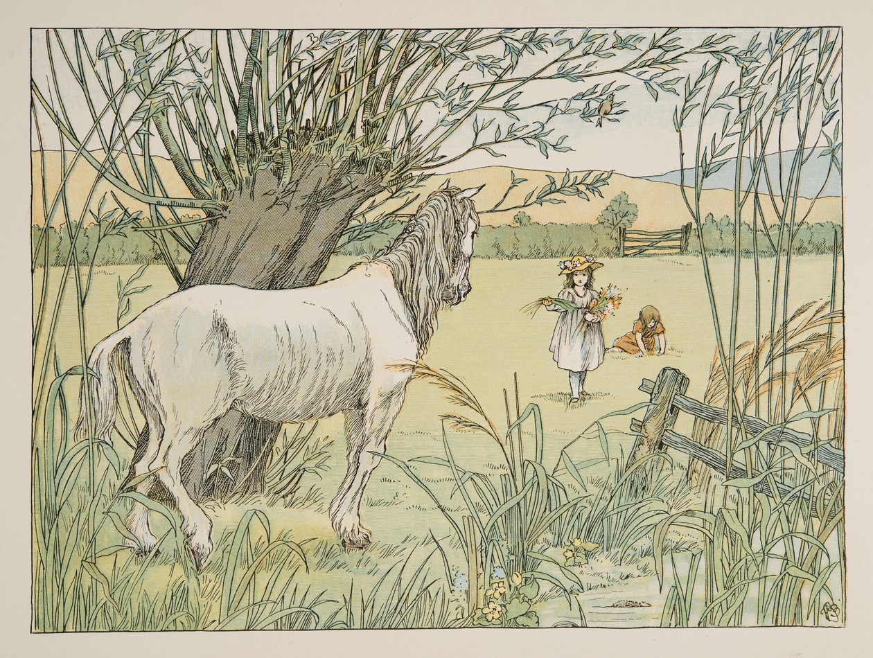 Il vecchio cavallo dell