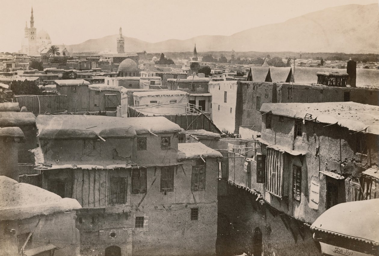 Egitto, Sinai e Palestina. Volume Supplementare, 1860s da Francis Frith