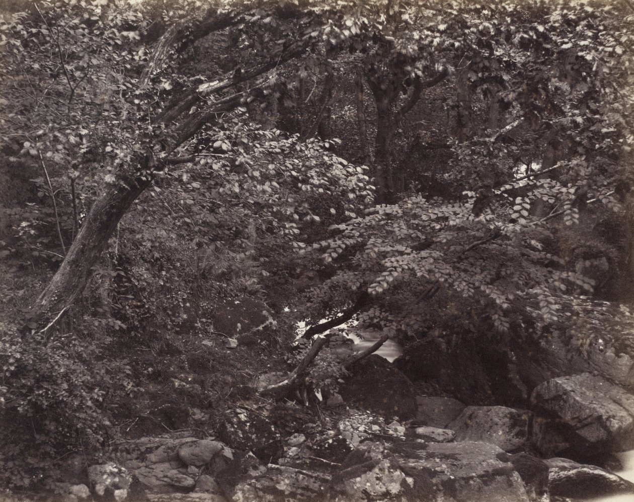 Valle a Lynmouth da Francis Frith