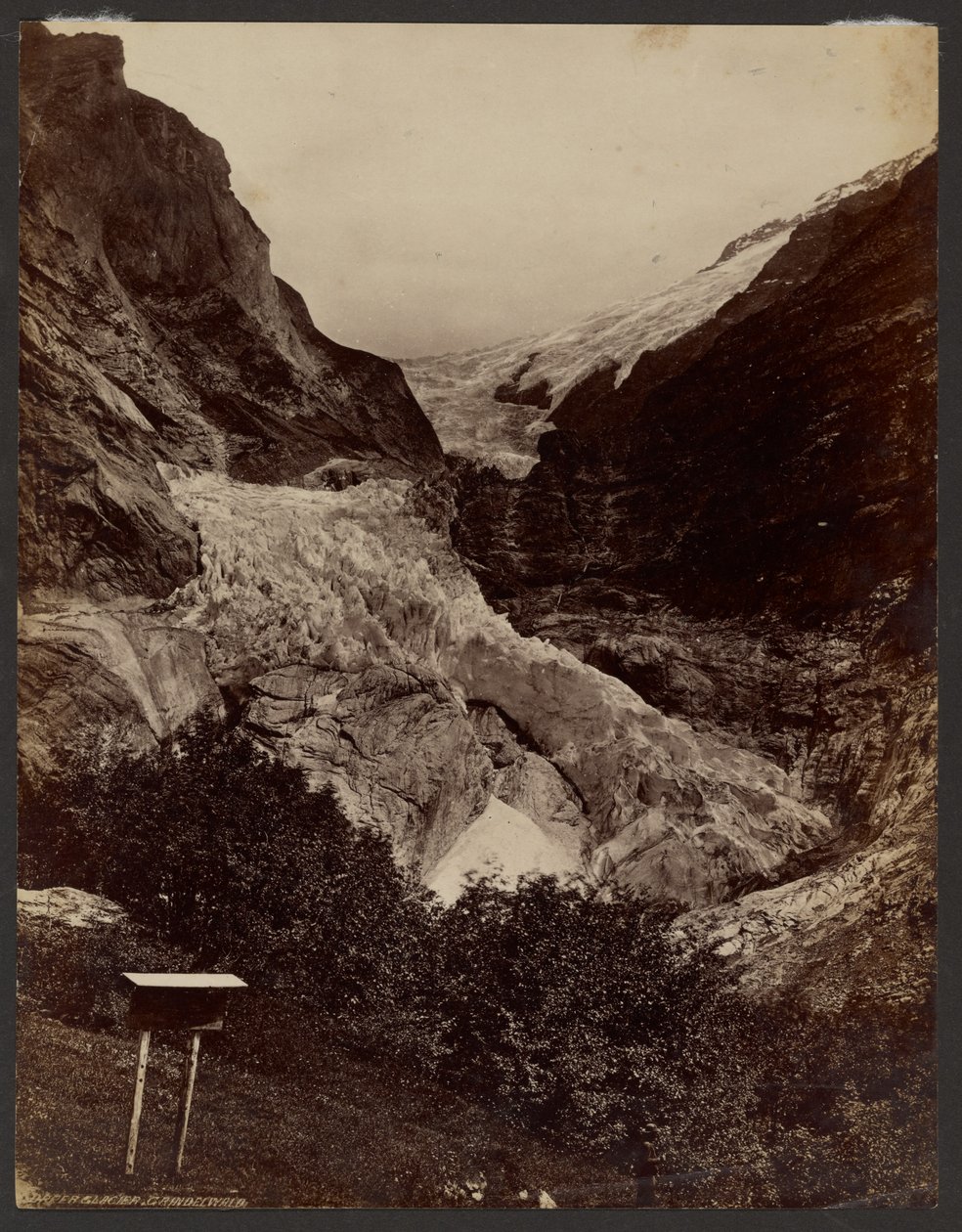 Ghiacciaio superiore di Grindelwald da Francis Frith