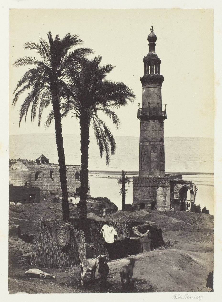 Vista su Girgeh, Alto Egitto da Francis Frith
