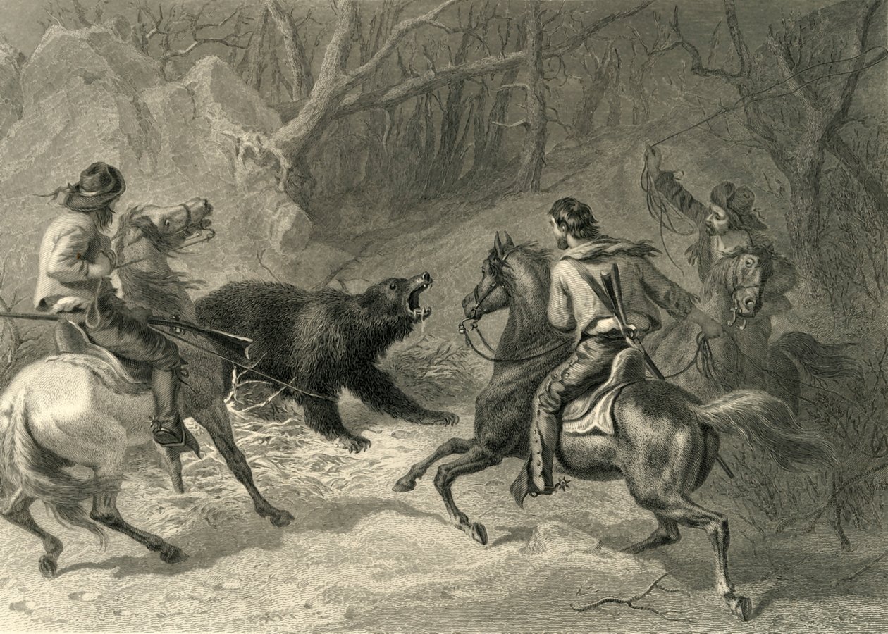 Californiani nativi che lassoano un orso, 1874 da Francis Holl