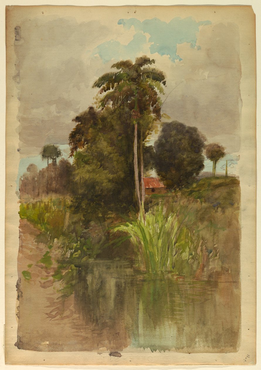 Studio di palme da Francis Hopkinson Smith