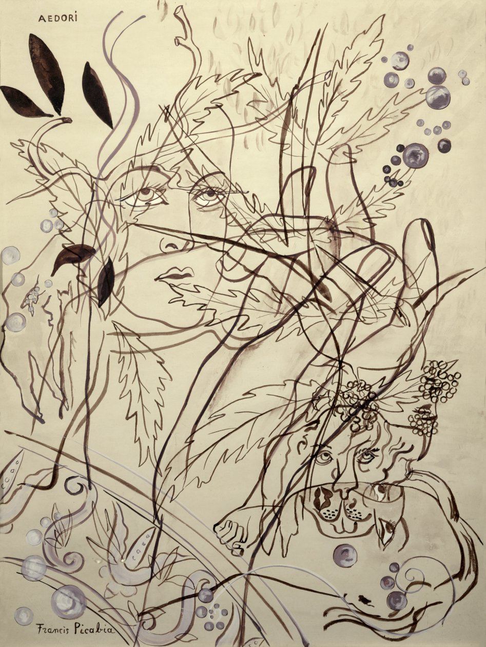 Aedori da Francis Picabia