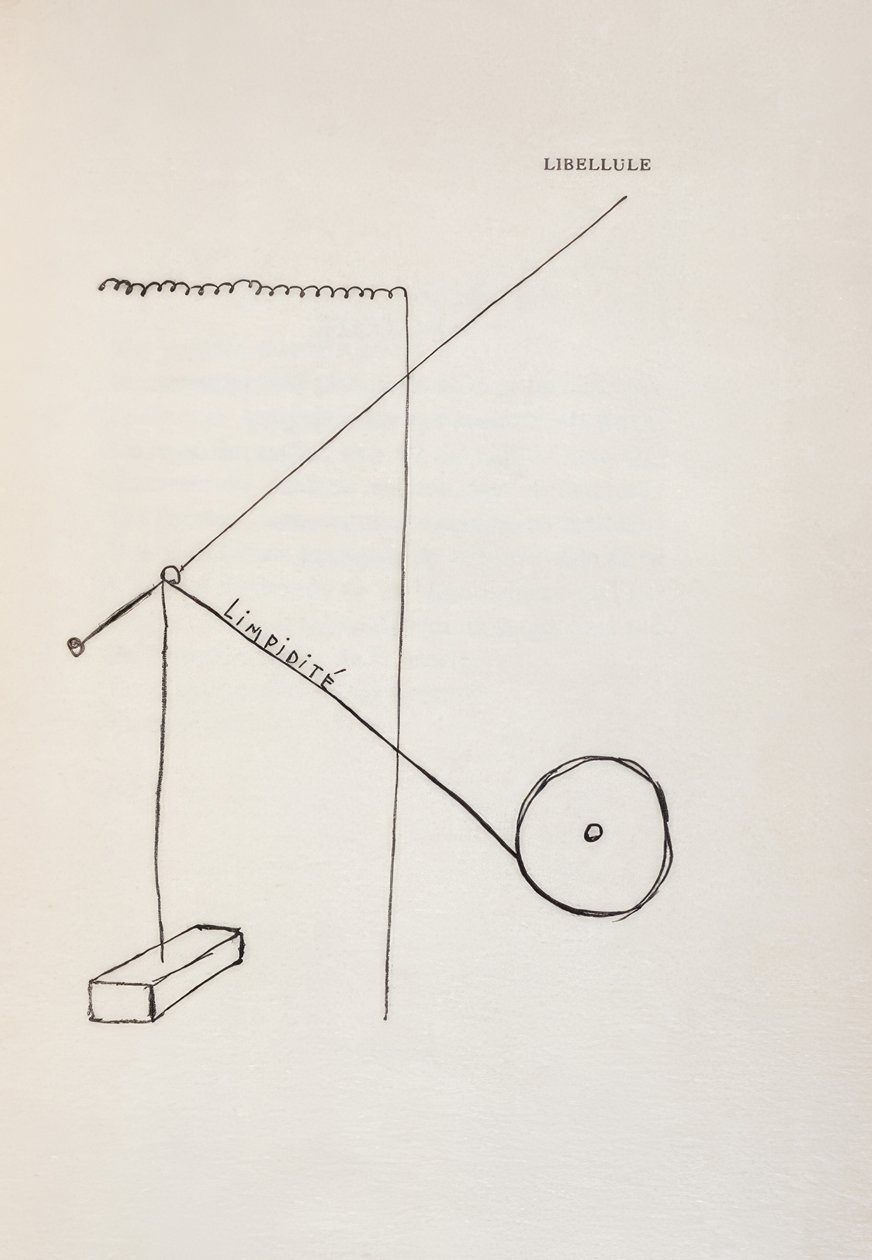 Libellula da Francis Picabia