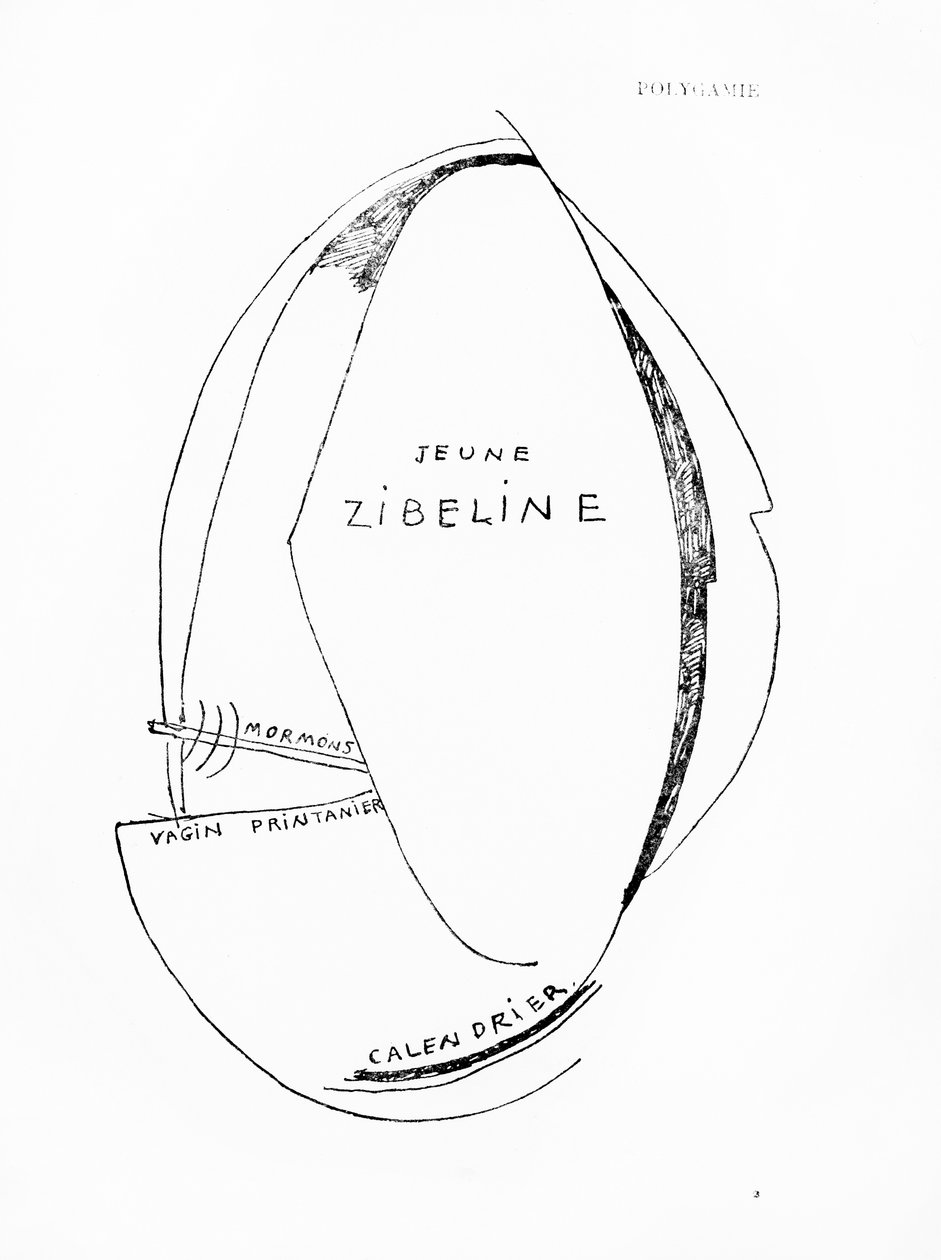 Poemes et Dessins de la Fille nee sans Mere, n. 15, pubblicato dalle Imprimeries Reunies, Losanna. da Francis Picabia