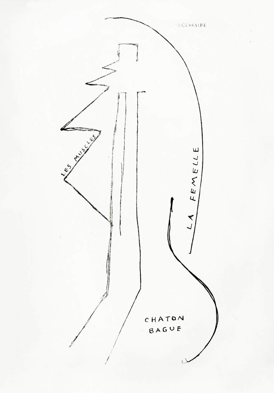 Poemes et Dessins de la Fille nee sans Mere, n. 23, pubblicato dalle Imprimeries Reunies, Losanna. da Francis Picabia