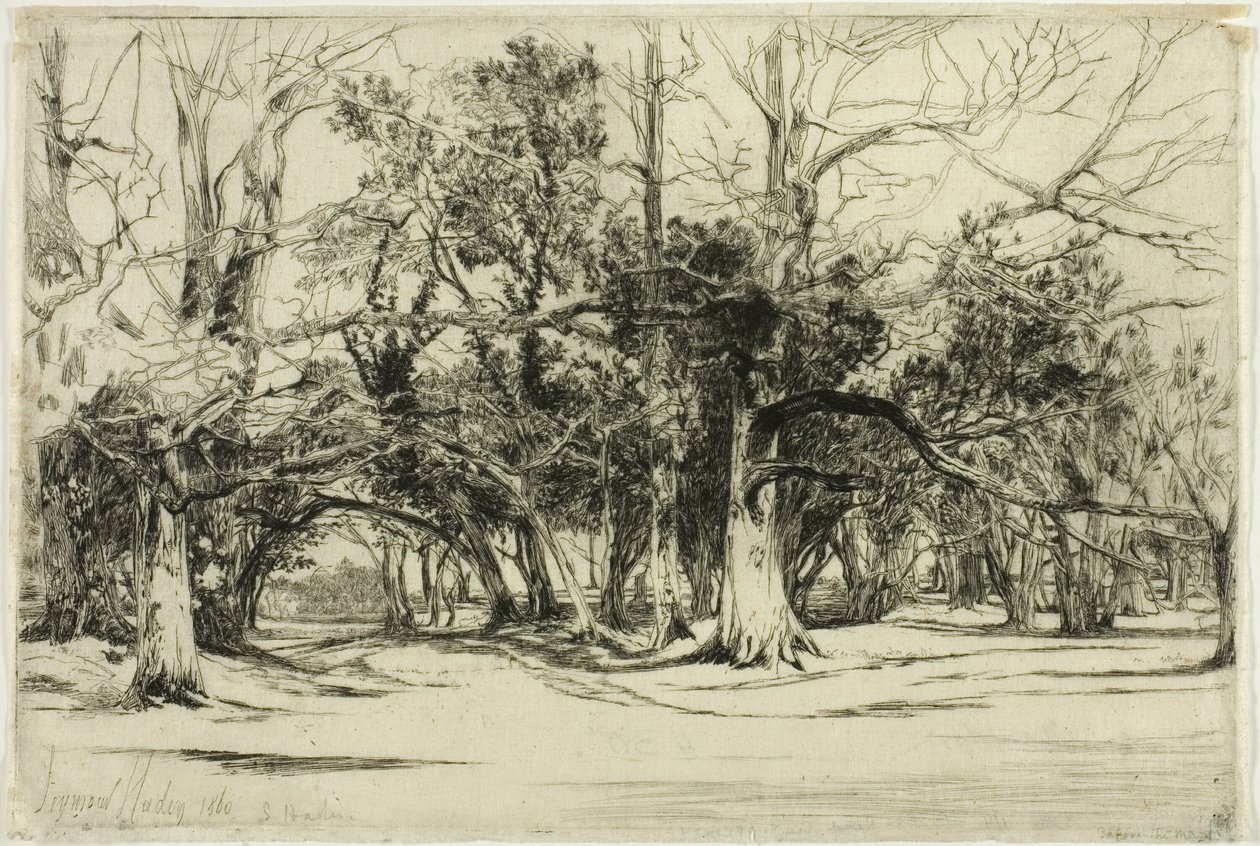 Una strada secondaria a Tipperary da Francis Seymour Haden