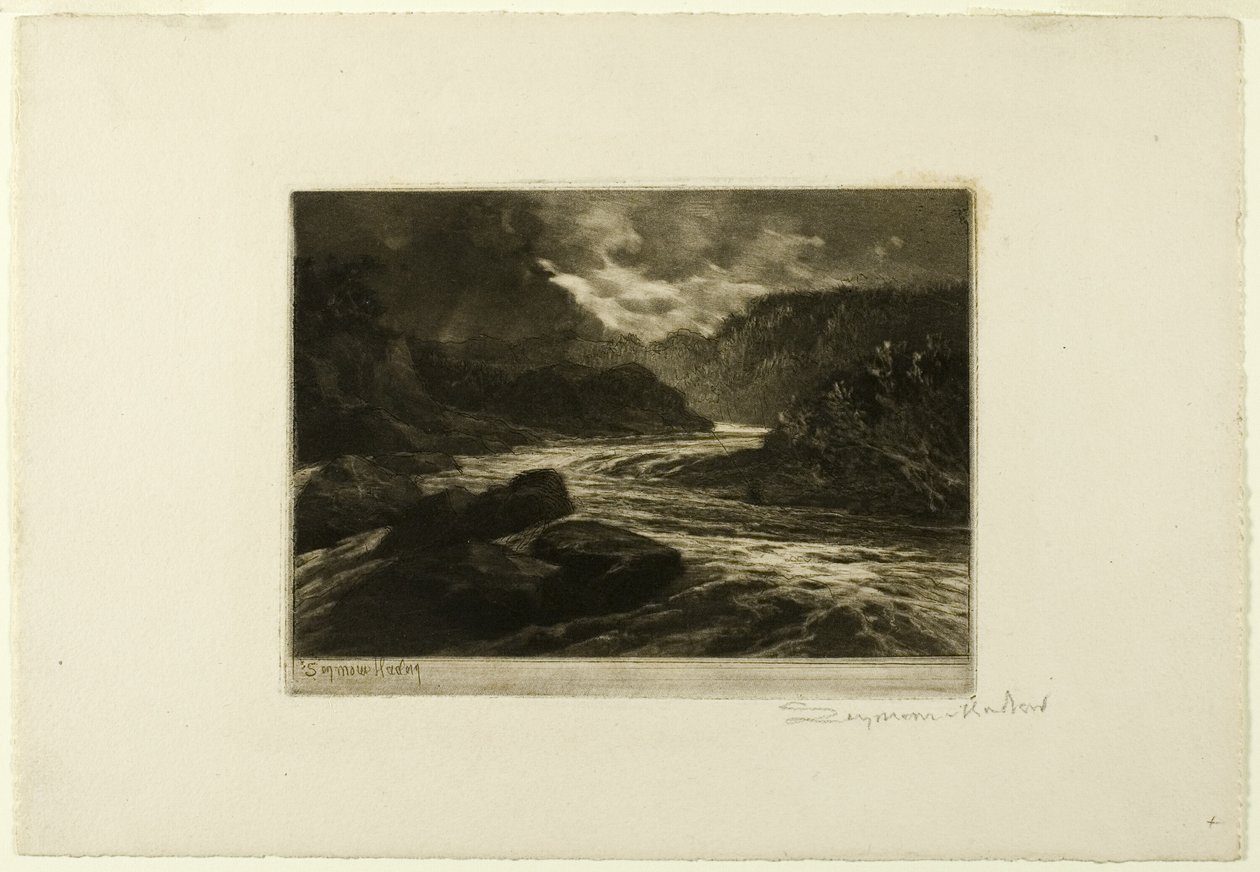 Un fiume di salmoni, n. II da Francis Seymour Haden
