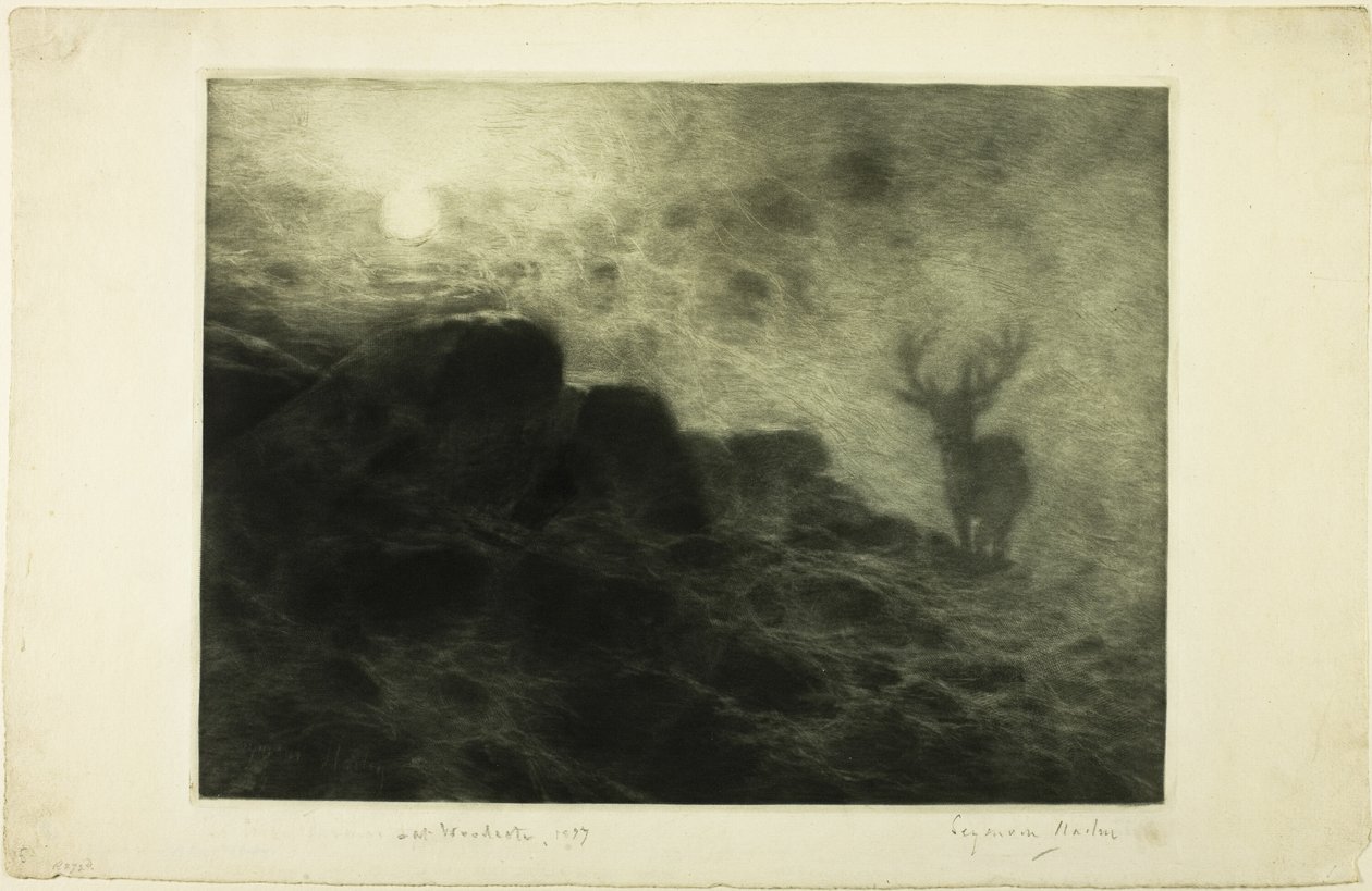 Un mattiniero da Francis Seymour Haden