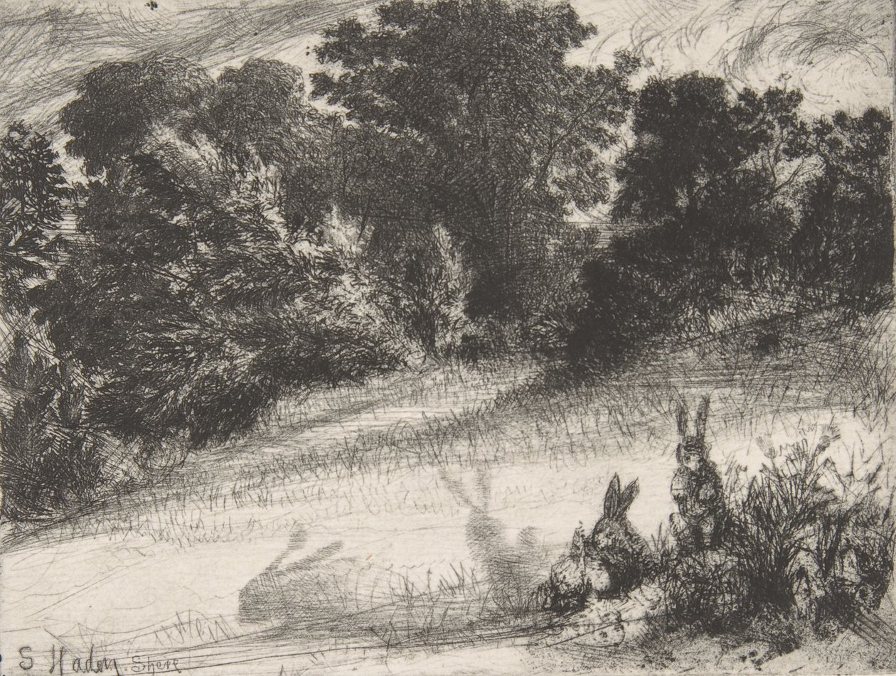 Combe Bottom, 1860 da Francis Seymour Haden