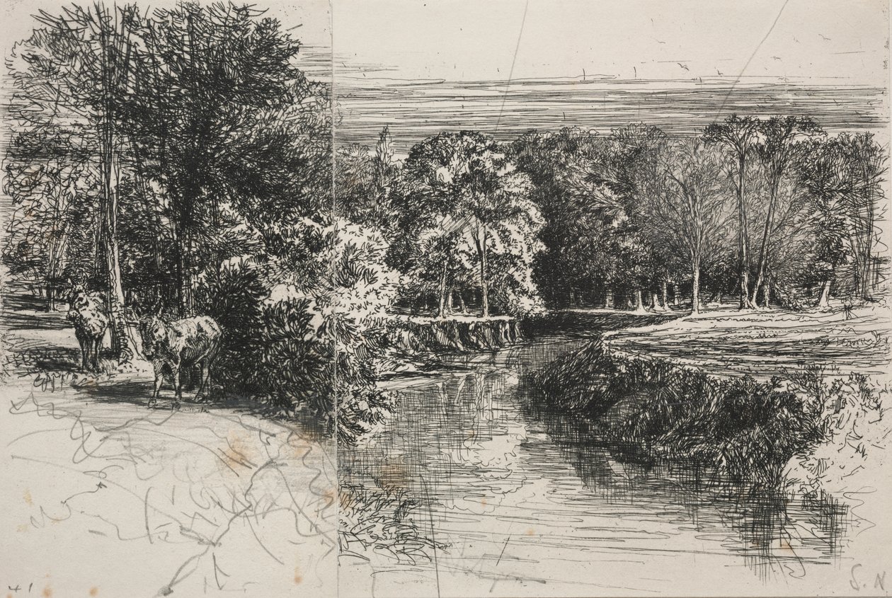 Fiume Dundrum e i Due Asini da Francis Seymour Haden