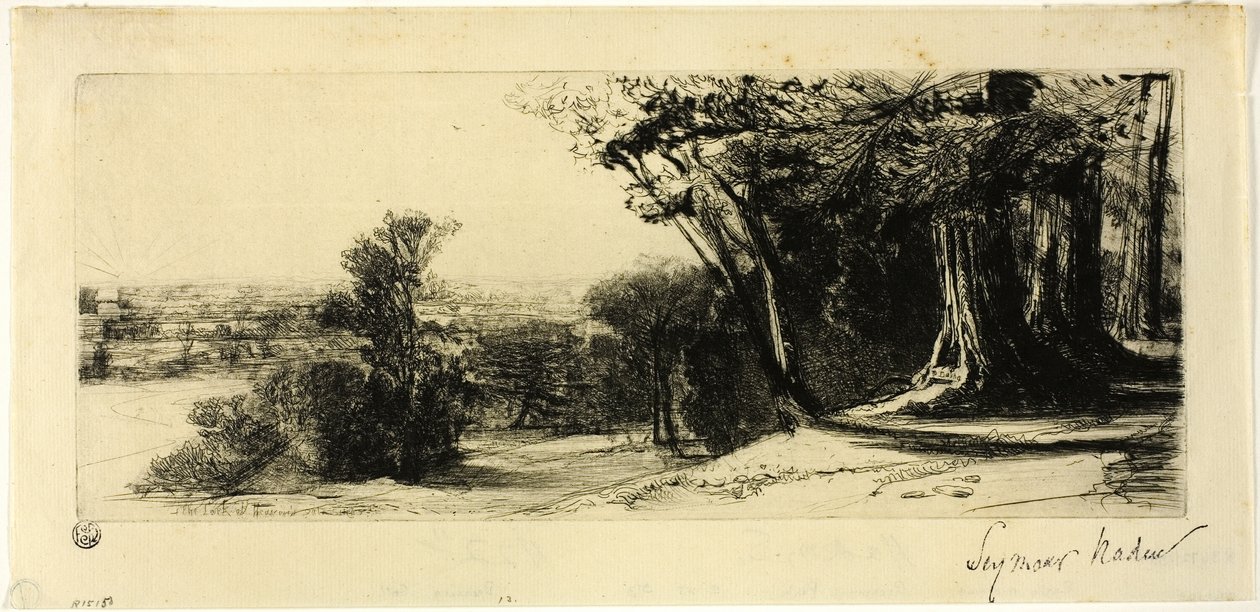 Mattina Presto, Richmond Park da Francis Seymour Haden