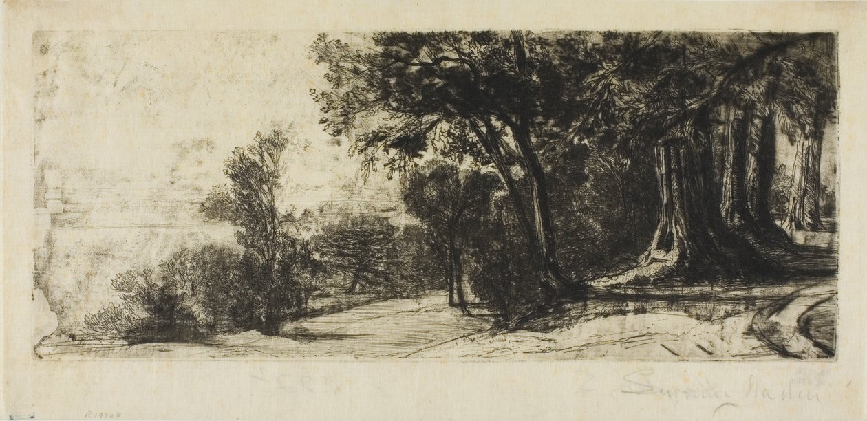 Mattina Presto, Richmond Park da Francis Seymour Haden