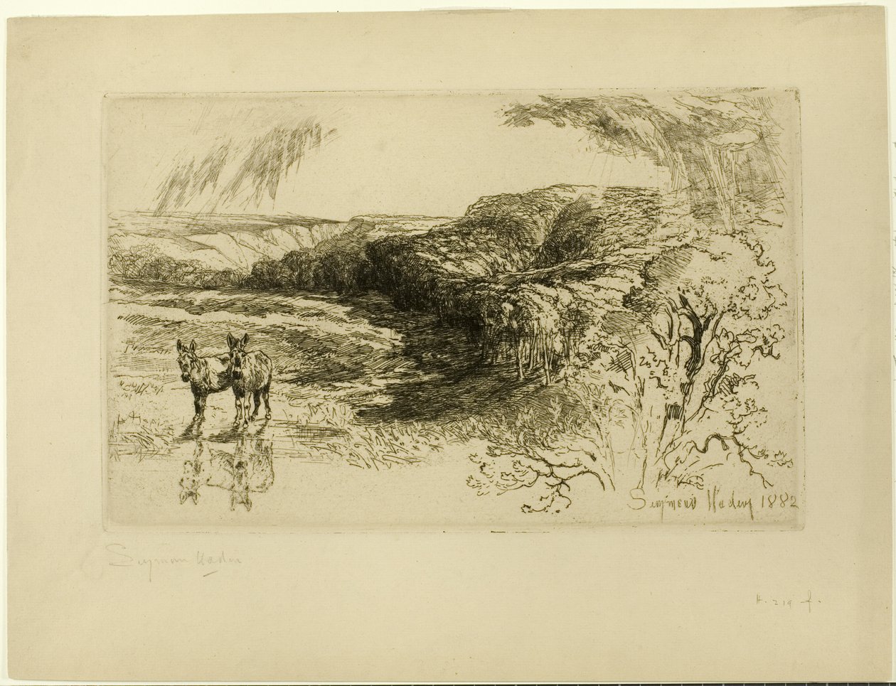 Boschi di Encombe, n. II da Francis Seymour Haden