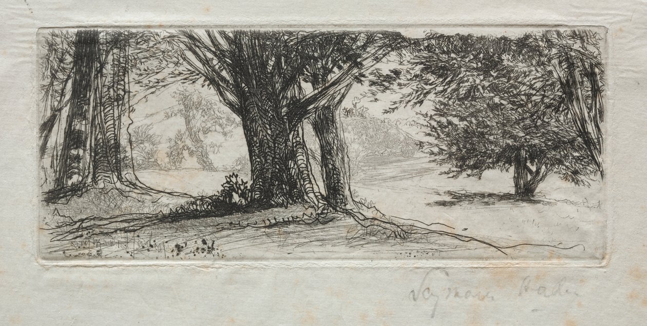 Campo di Agrifoglio da Francis Seymour Haden