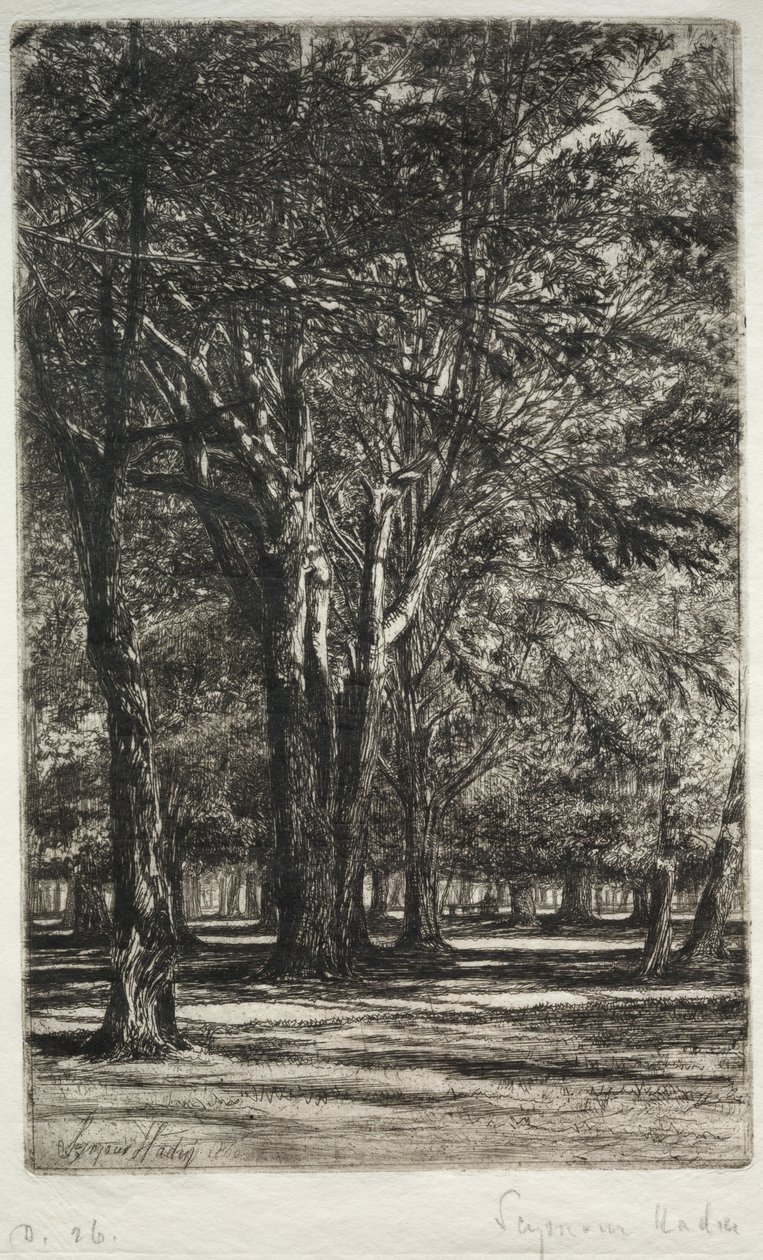 Giardini di Kensington (La tavola più grande) da Francis Seymour Haden
