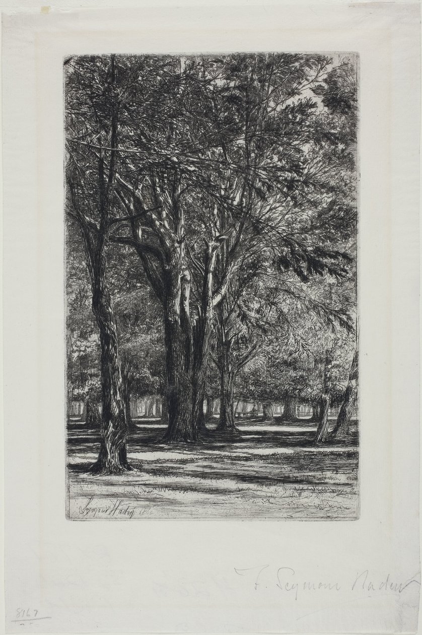 Giardini di Kensington, No. II (grande tavola) da Francis Seymour Haden