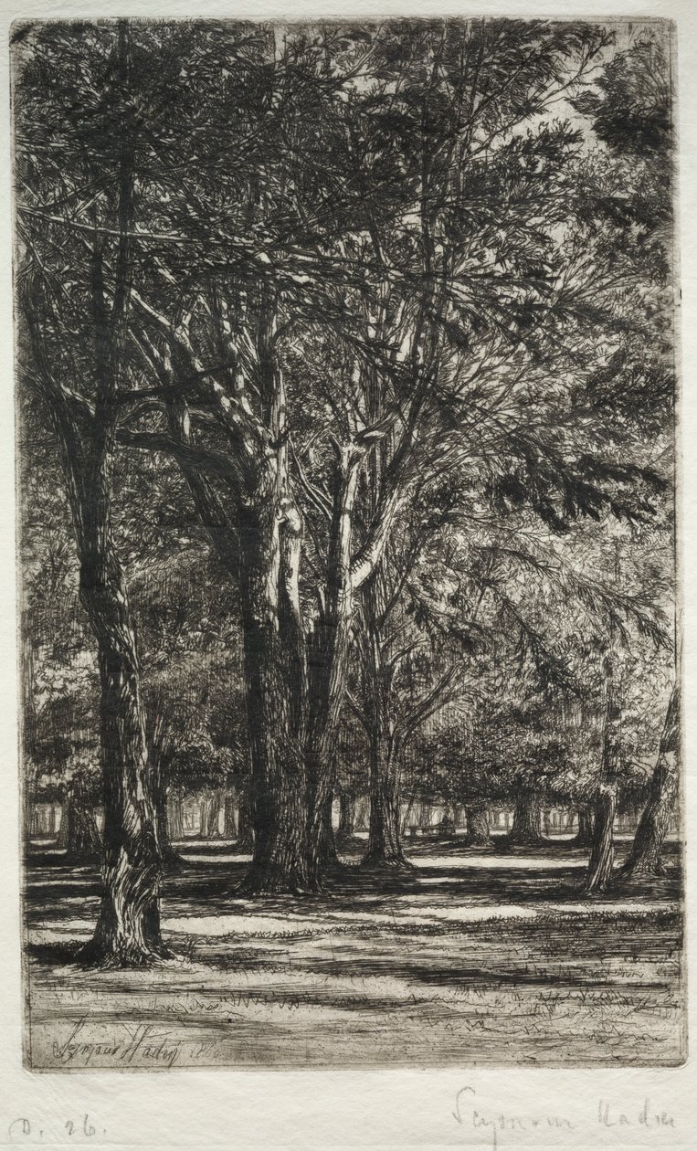 Kensington Gardens La Piastra Maggiore da Francis Seymour Haden