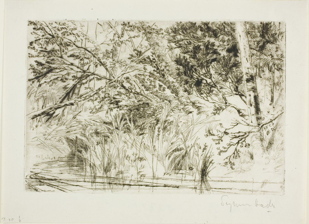 Foce di un ruscello, n. II da Francis Seymour Haden