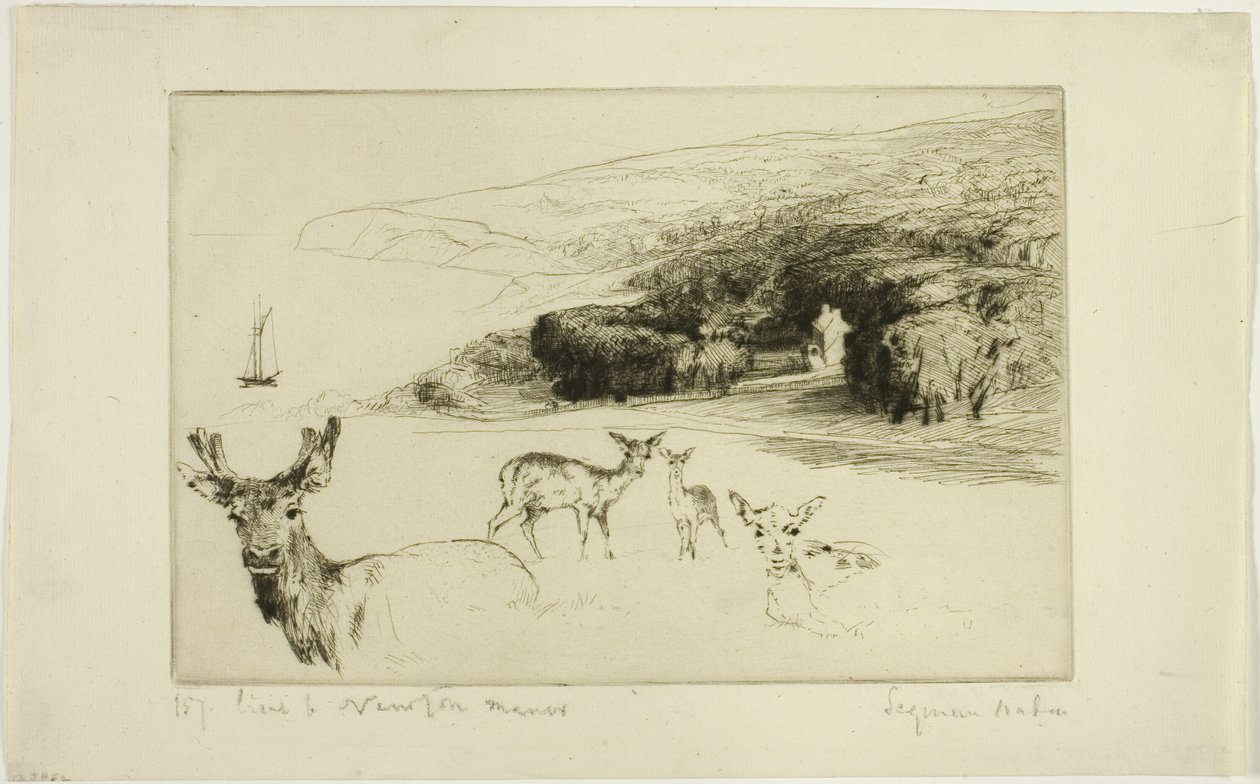 Newton Manor da Francis Seymour Haden