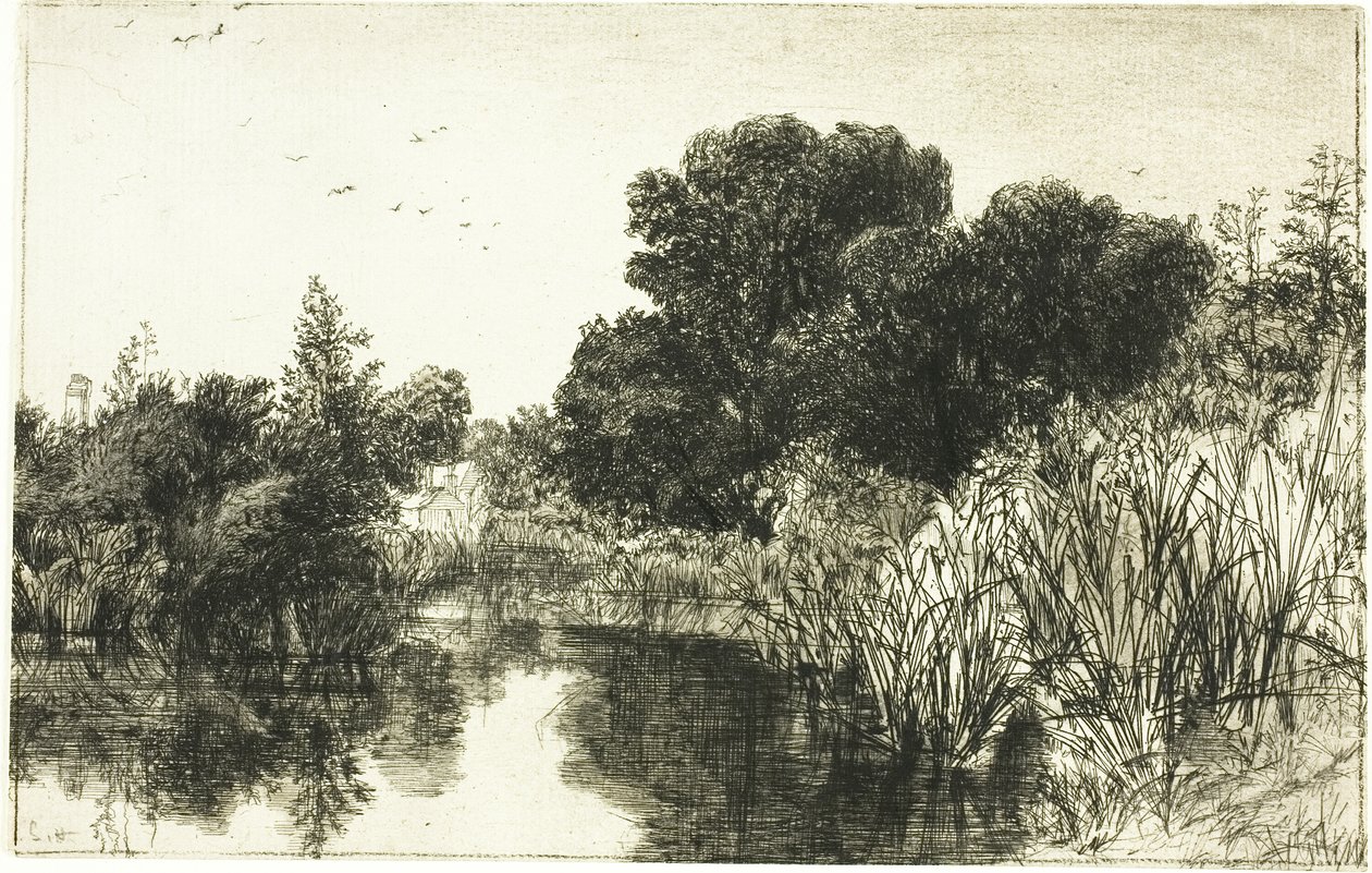 Shere Mill Pond, No. II (grande tavola) da Francis Seymour Haden