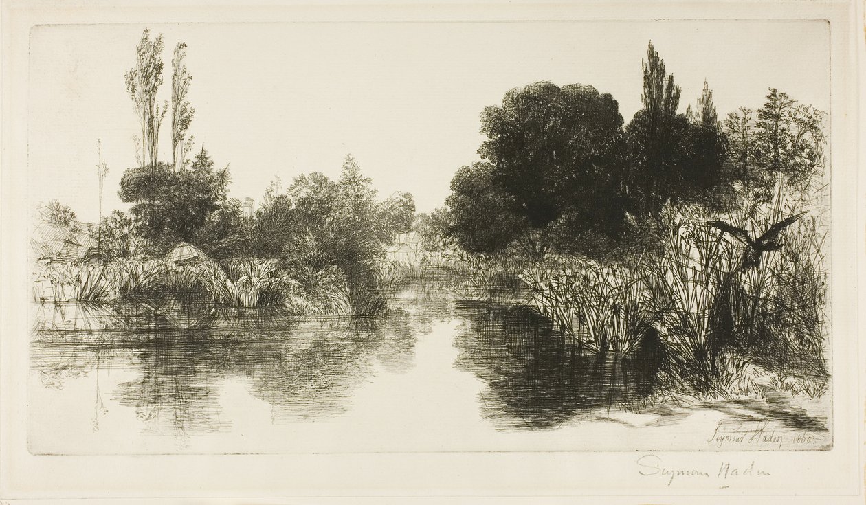 Shere Mill Pond, No. II da Francis Seymour Haden