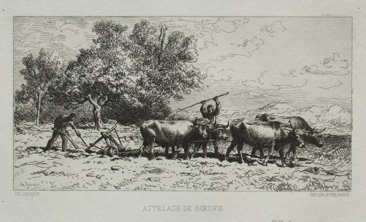 Squadra di buoi da Francis Seymour Haden