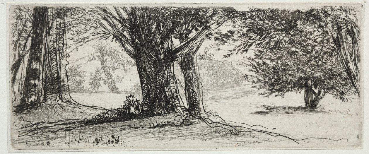 Il campo di agrifoglio da Francis Seymour Haden