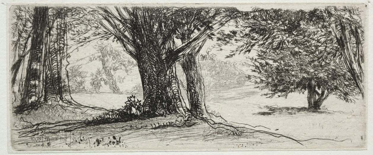 Il campo di agrifoglio da Francis Seymour Haden