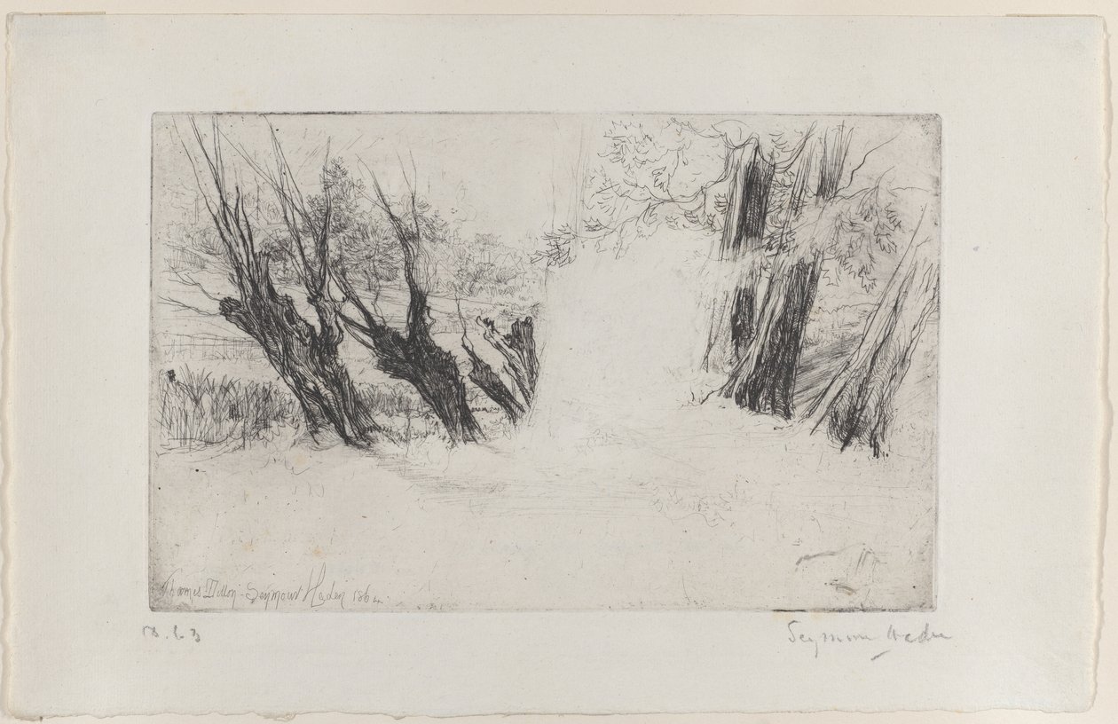 La passeggiata degli amanti, 1864 da Francis Seymour Haden