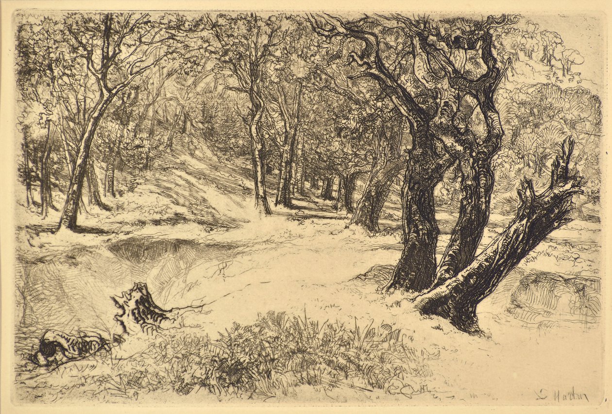 Le Tre Sorelle da Francis Seymour Haden