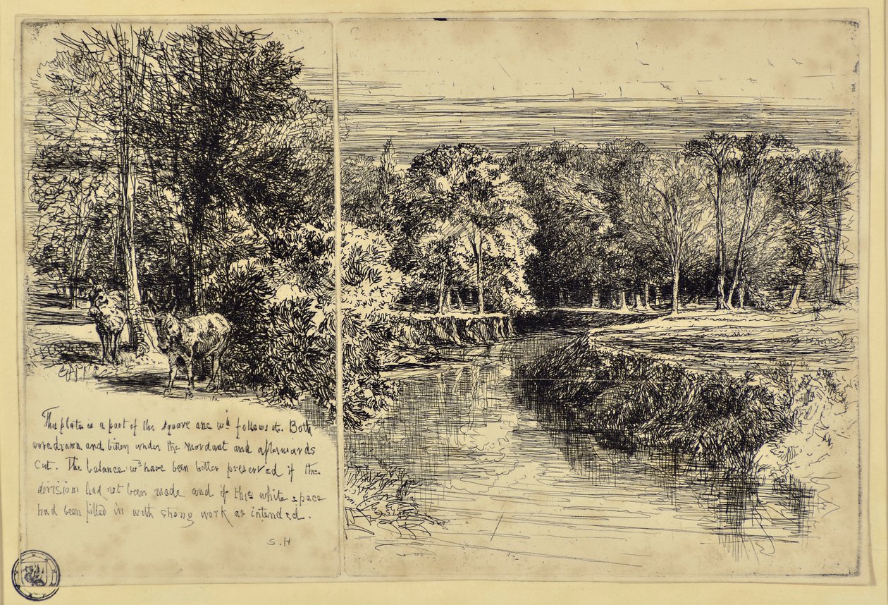 I Due Asini e il Fiume Dundrum da Francis Seymour Haden