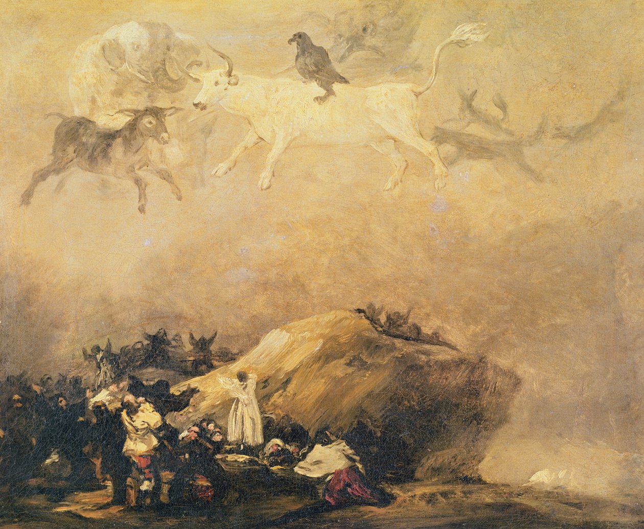 Scena di Capriccio: Animali nel Cielo da Francisco de Goya