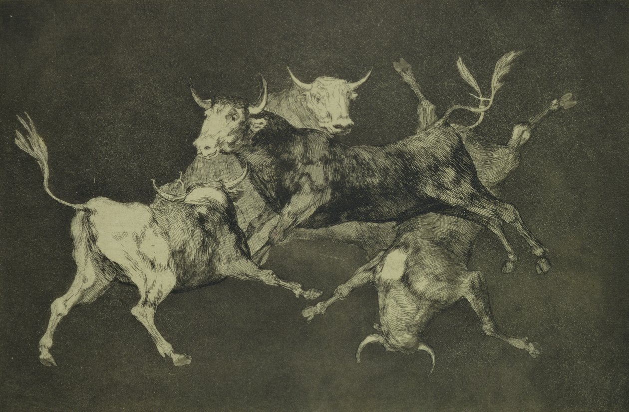 Follia dei tori, dalla serie Follies, c.1815-24 da Francisco de Goya