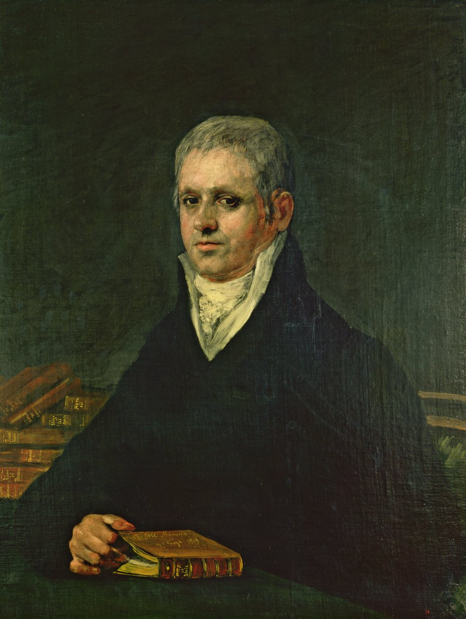 Ritratto di Don Jose Munarriz, 1815 da Francisco de Goya