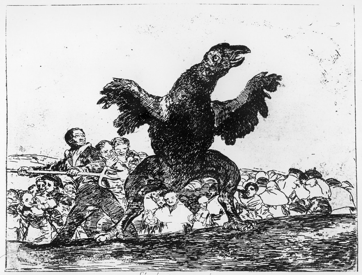 Il Vulture Carnivoro, tavola 76 da 