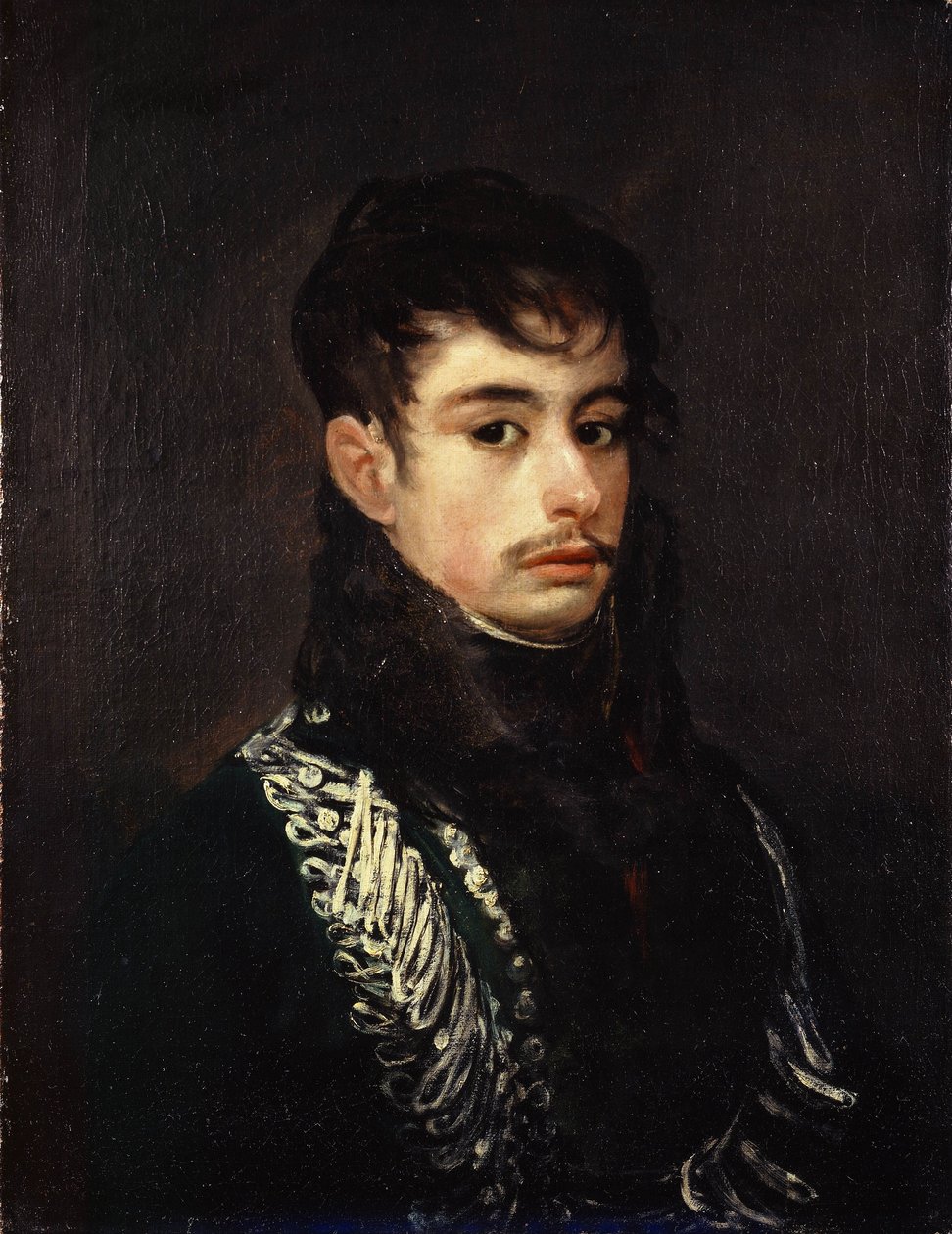 Un ufficiale da Francisco de Goya
