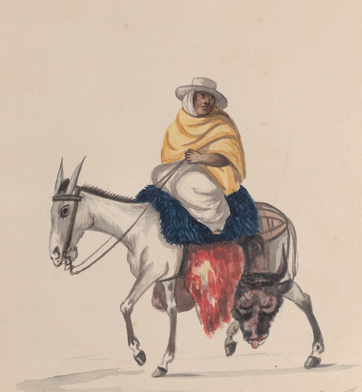 Un macellaio a cavallo di un asino, da un gruppo di disegni che raffigurano costumi peruviani da Francisco