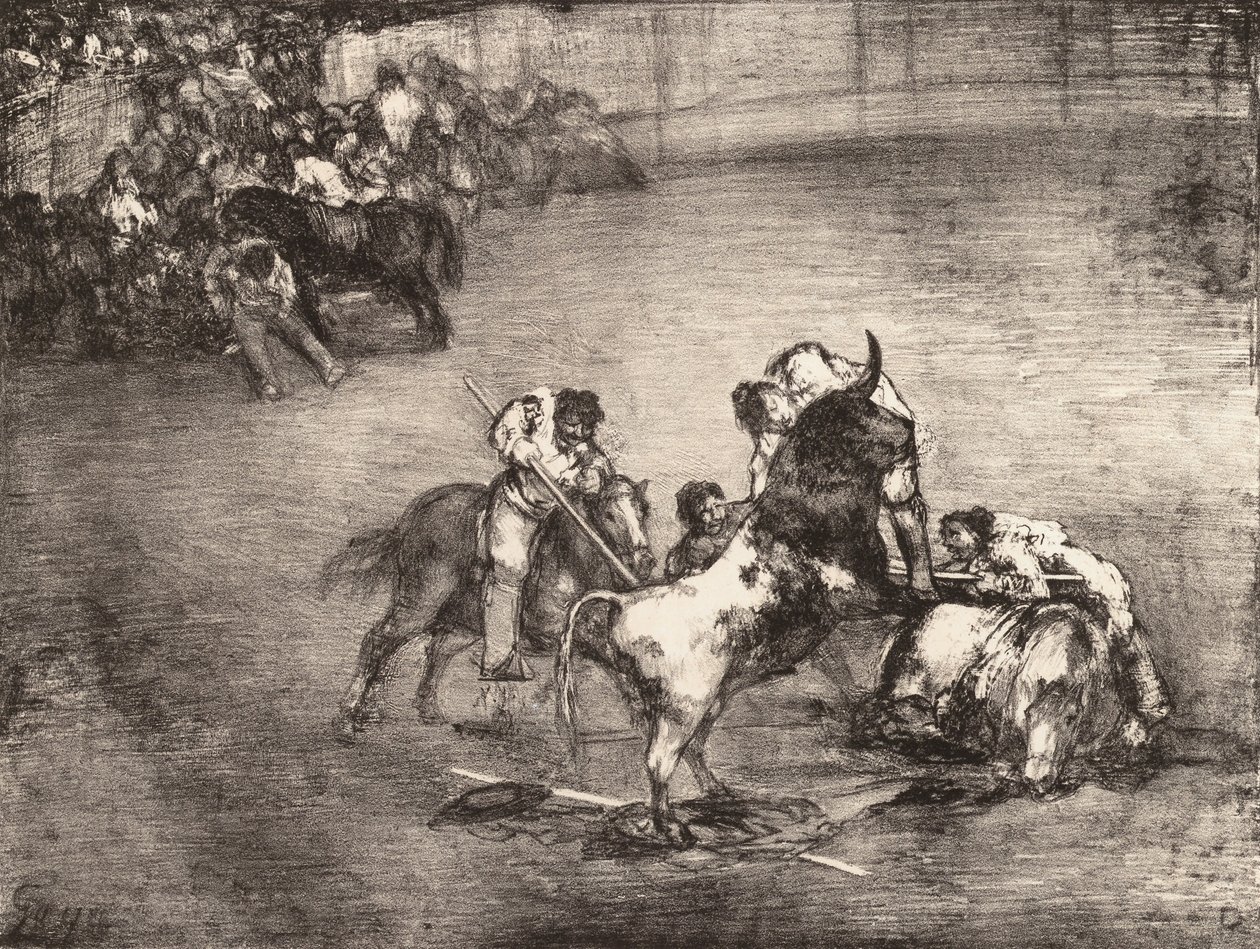 Un picador catturato da un toro, da 