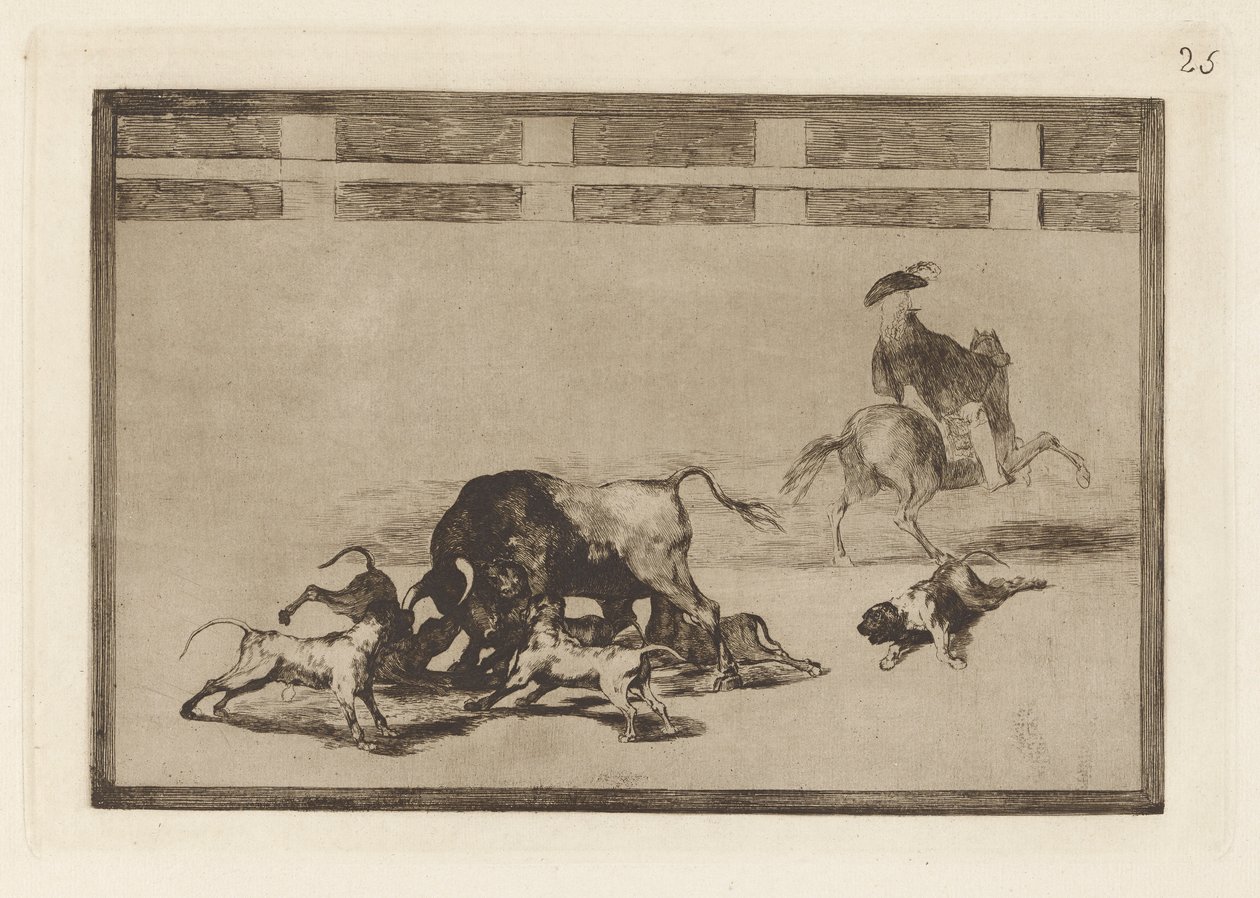Echan perros al toro, tav. 25 da La tauromachia da Francisco de Goya