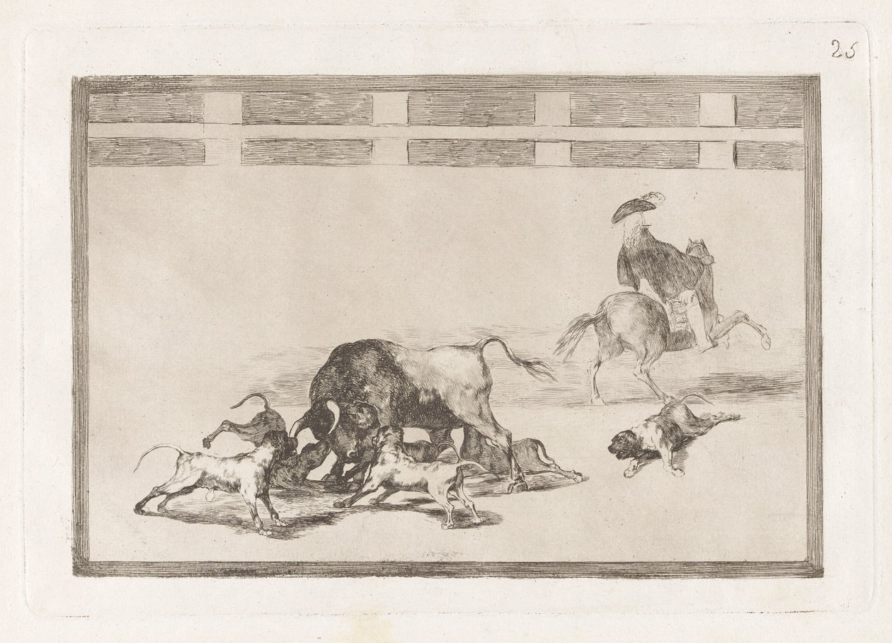 Echan perros al toro (Liberano i Cani sul Toro), Tavola 25 da La tauromachia da Francisco de Goya