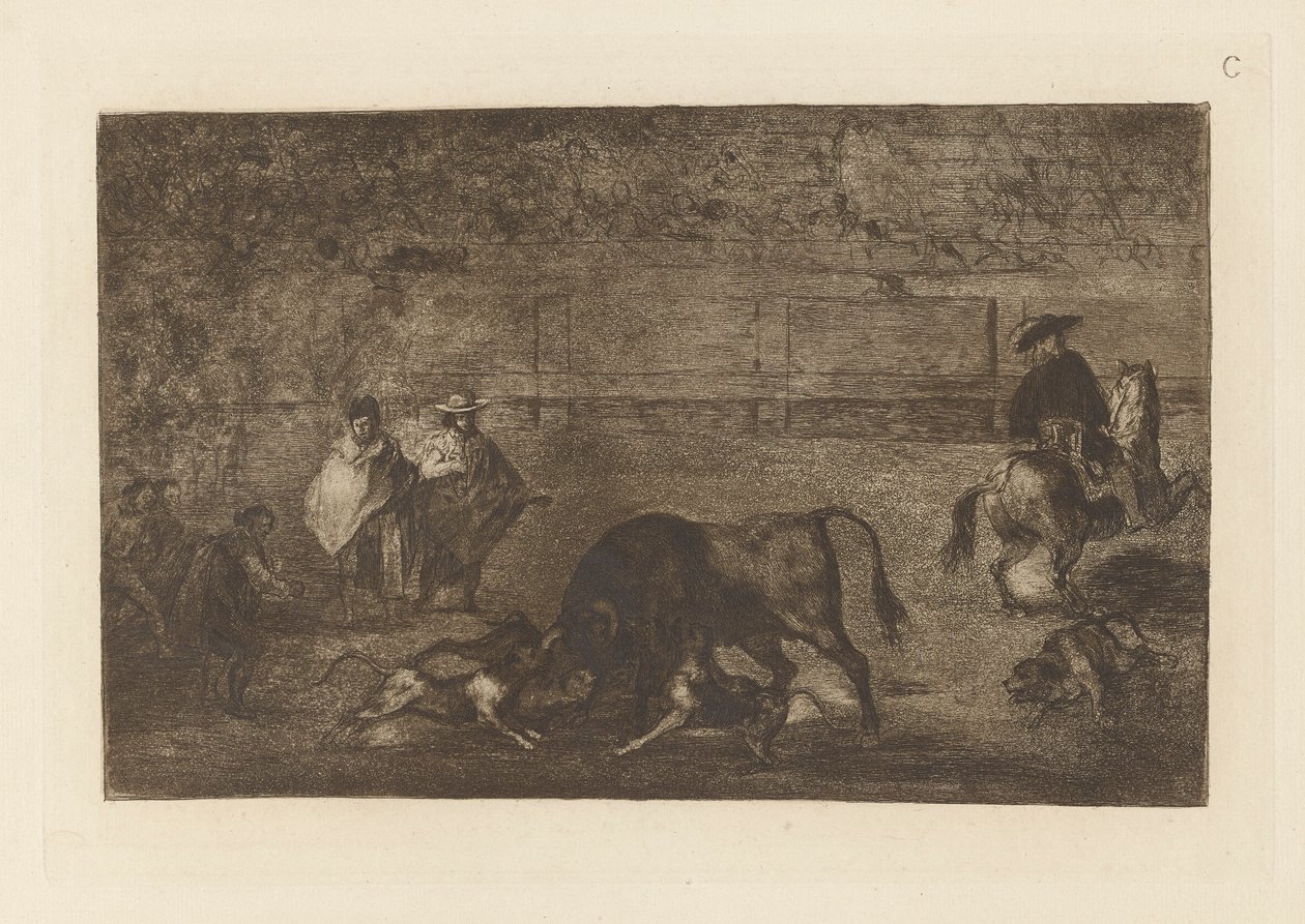 Les chiens laches sur le taureau (I cani liberati sul toro), Tavola C da La tauromaquia (terza edizione) da Francisco de Goya