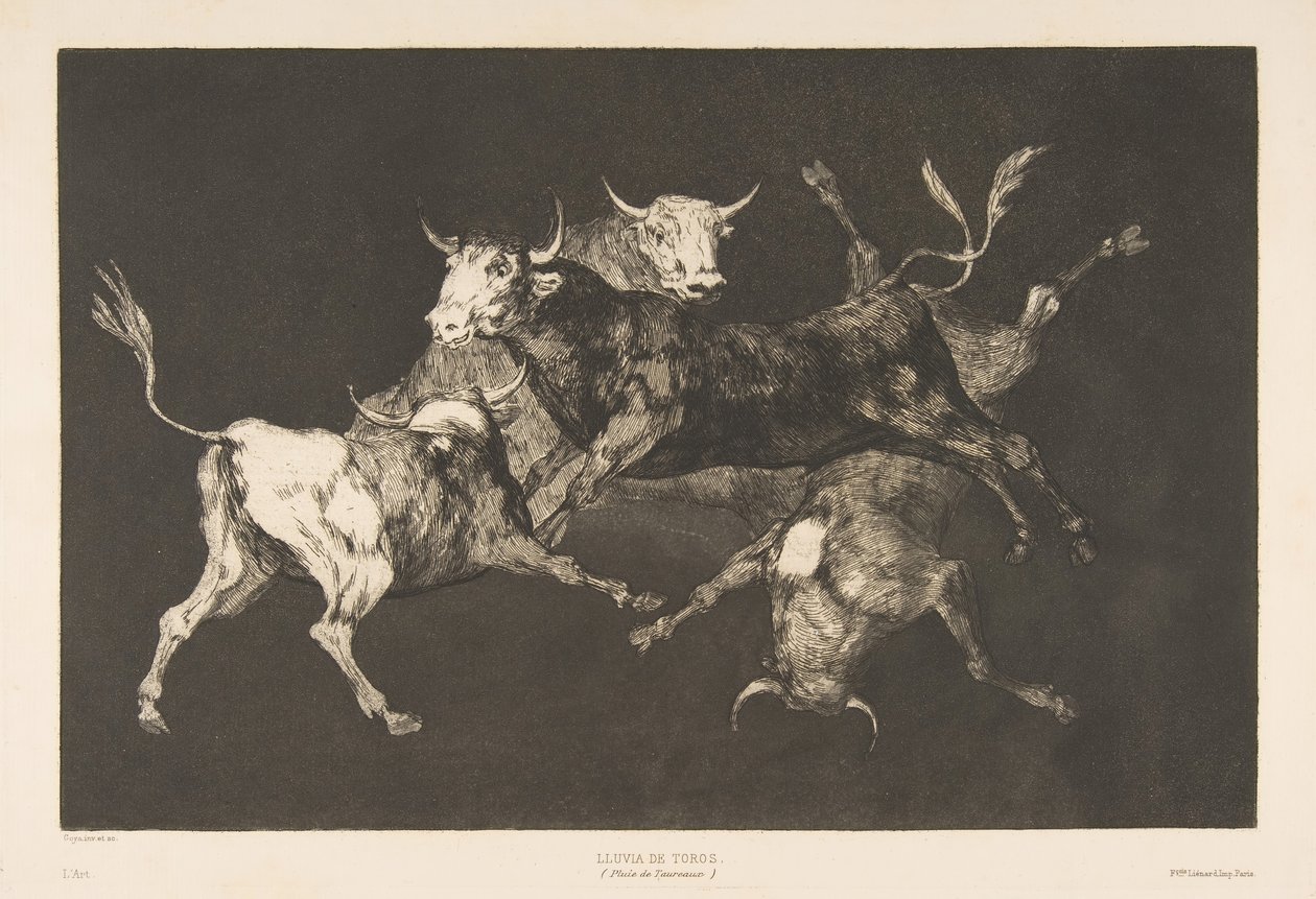 Tavola D dai Disparates: Folli o Piccoli Tori - follia da Francisco de Goya